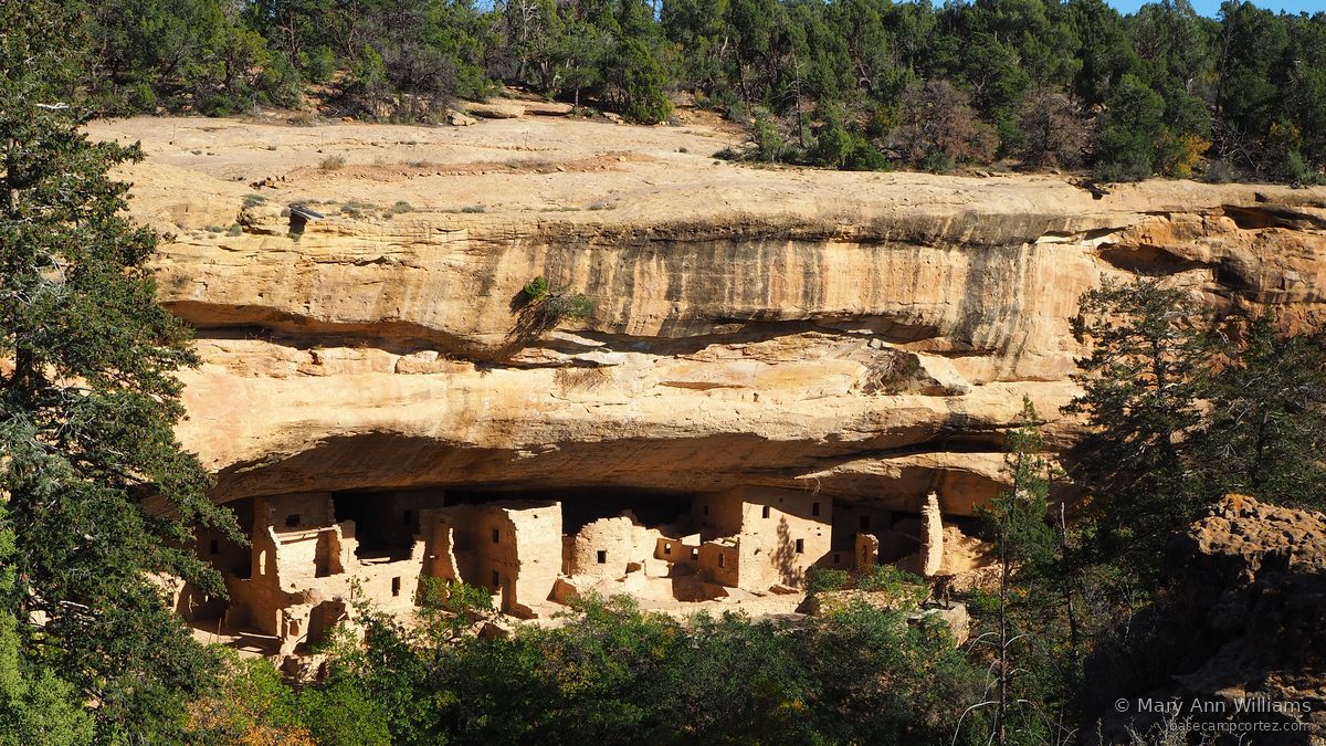 Mesa Verde cliff dwellings